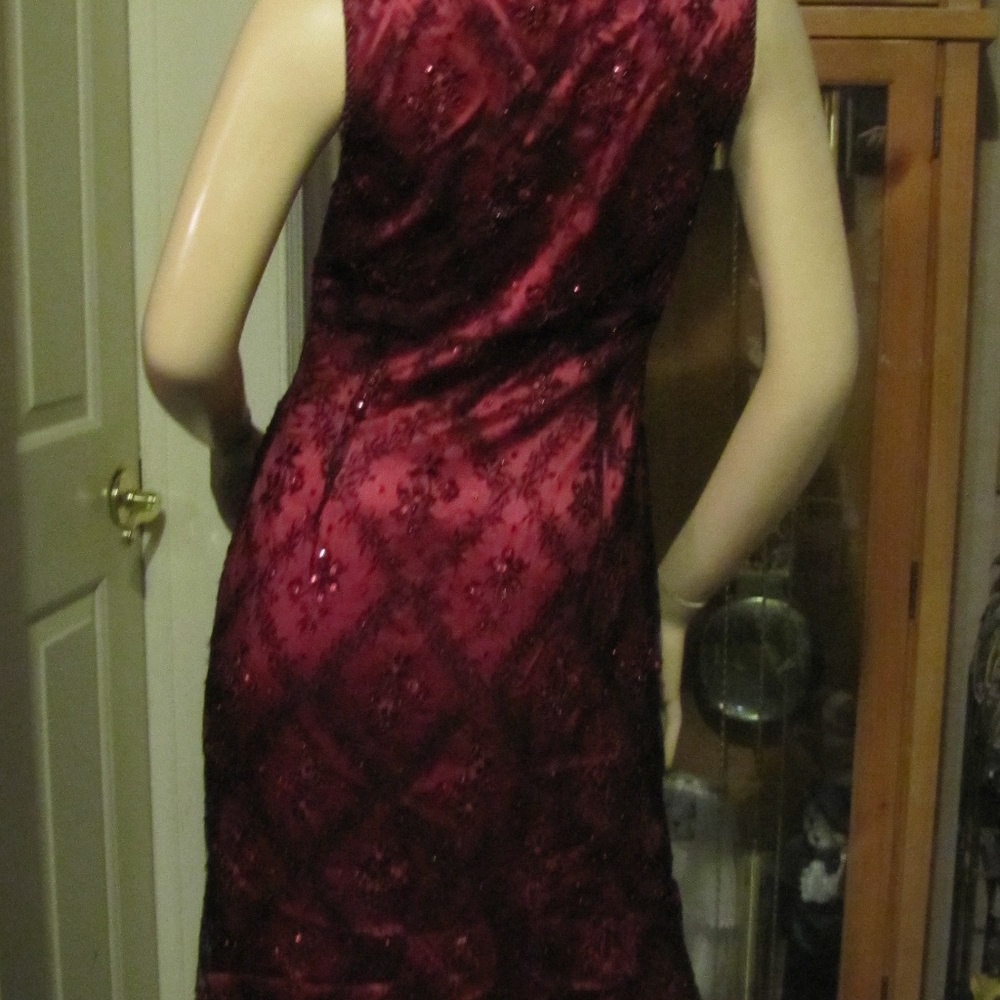 VotreNom Garnet Silk Beaded Lace Dress sz 1 (sz 4) - Picture 7 of 8